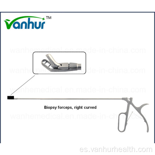 Pinza de biopsia curva derecha para sigmoidoscopio y rectoscopia